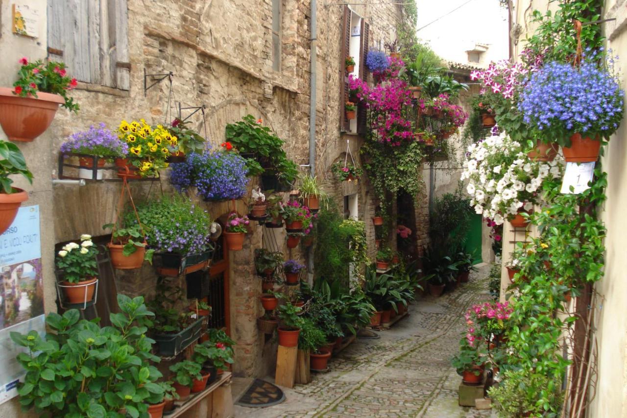 Bed & Breakfast Il Sognatore 3*