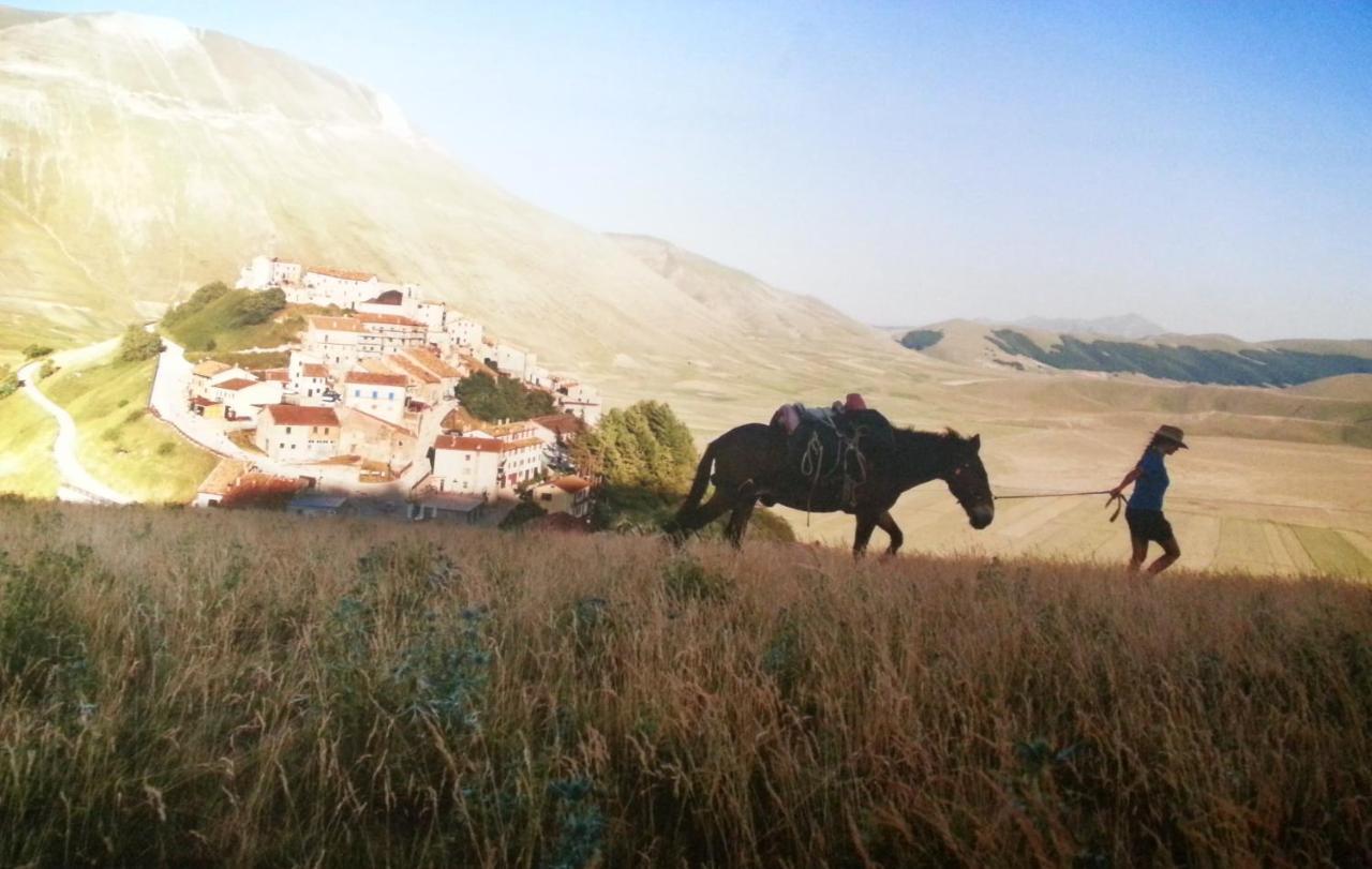 Il Sognatore