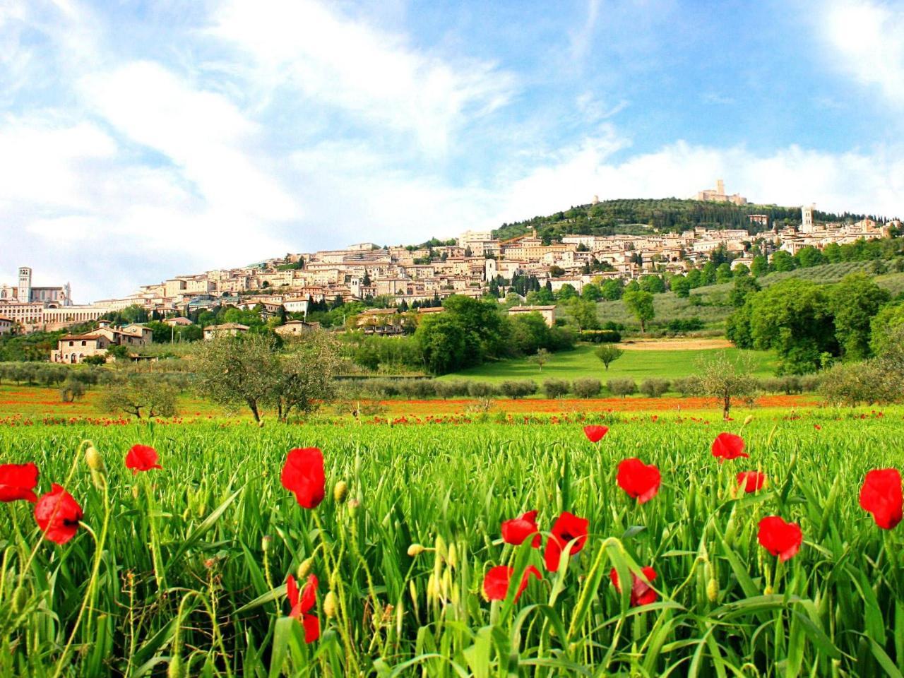 Il Sognatore Perugia