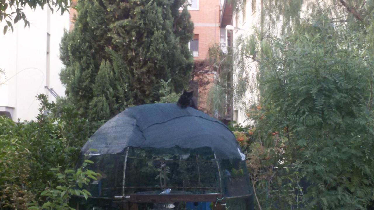 Bed & Breakfast Il Sognatore Perugia